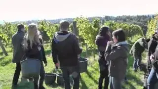 WineAid Social Day 2013