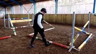 Online training ;Een jong paard een lijntje leren springen