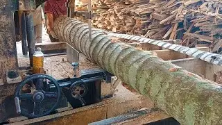 Sawing Coconut Trees with World Market Quality &ndash; Must Watch!