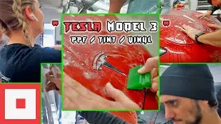 Tesla Model 3 Facelift | Chrome Delete, Clear Bra, and Window Tint!