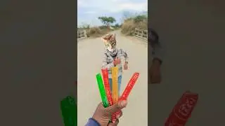 Billi Gayee Dilli 😻🍺🤤 #viral #funny #shortvideo #cute #cat #cartoon #comedy #anil.9m #viralvideo