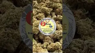 Future Haze THCA Flower - A New Arrival at PhenomWell CBD Store