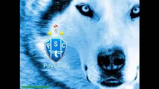 Frevo Bicolor #Paysandu