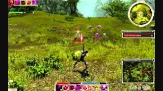 Guild Wars A/E HM Farm Veturni Mindsquall