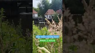 Walk in Nature of the #achterhoek , #netherlands  &ndash; Walk and Relax #newvideo #walkinnature