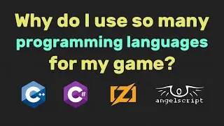 Why so many programming languages?