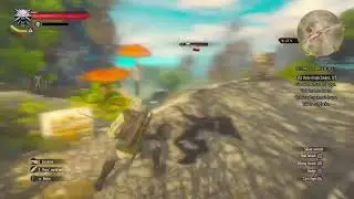 the Witcher 3 Fairy Tail