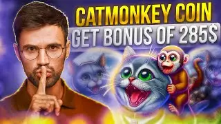 CatMonkey | The Era of Dogs Is Over | Full Project Review on Pinksale