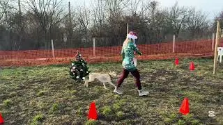 Tomku-Pápai Barbara & Loki - Karácsonyi Videósverseny 2025 - Kezdő