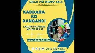 Shirin Kaddara ko Ganganci Labarin Bazawara me lefe kashi na 12 tare da Asma'u Sadiq Babynice
