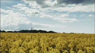 Ambisonic Recording Project (Part 15) - Pontus Gunve - Nöbbelövs Mosse, Lund - Sweden