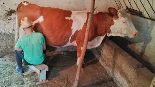 How a young man lives and work in Romanian Alpine Remote Villages! Countryside life far from town!