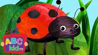 Finger Family with Lady Bug | Preschool Learning - ABC KidTV | Nursery Rhymes & Kids Songs
