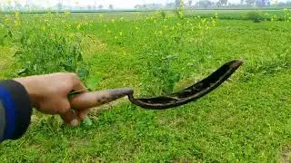 Cold Wind Arround The My Farm Watch Full Video.