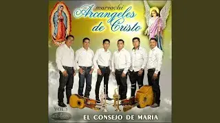 Junto a ti Maria