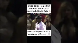 The Big Papi #redsox #bigpapi #2004