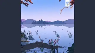 Ibis