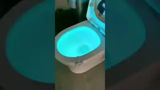 Toilet LED Light | Toilet Night Light🚽#shorts
