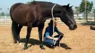 Leslie Desmond, True Horsemanship Through Feel