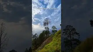 peaCe_____📍askote,uttarakhand #sunset #peace #view #nature