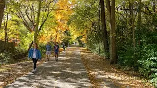 Capital Crescent Trail | Washington D.C.