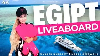 LIVEABOARD w Egipcie - WSZYSTKO co musisz wiedzieć! | 4K