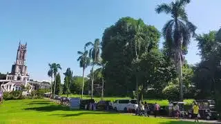 COCONUT ROYAL PALM TREE 7 SJDM GROTTO OUR LADY OF LOURDES PART 35 CLVLVKSPODOFOCIDOAYYAA
