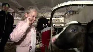 Magazyn Rolniczy - Zagrody edukacyjne