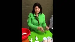 Hand rearing baby birds