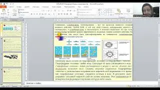 Ферменты для моющих средств. Свойства липаз, ферментативные препараты на их основе
