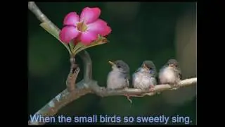 Loreena McKennitt - Seeds of Love (Lyrics)