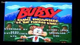 Bubsy games on the Sega Flashback Portable