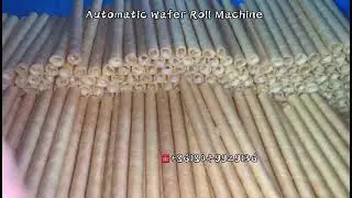 Automatic Hollow Center-Filled Wafer Biscuit Roll Machine is working at factory