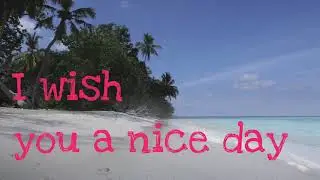 I wish you 🌞🌴 a nice day