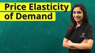 Price Elasticity of Demand | Theory of Consumer Behaviour | Ecoholics