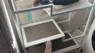 New cat tree from the Refined feline