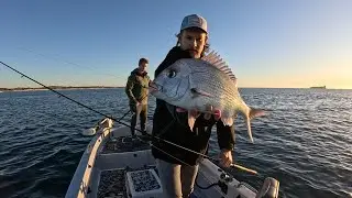 Winter is here on the SUNSHINE COAST! Chasing SHALLOW WATER SNAPPER with SOFT PLASTICS