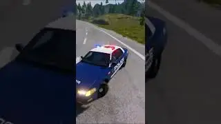 Rampant Hillside Leap & Exciting Cop Pursuit (1)