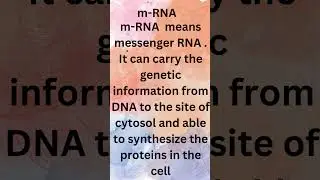 mRNA stands for messenger RNA.