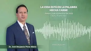 La Vida está en la Palabra hecha carne