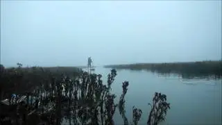Old Leigh Marshes