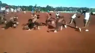 Izimbungulu ezibomvu  (Imbatha)