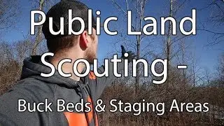 Spring Deer Scouting Public Land - Buck Beds and Staging Areas