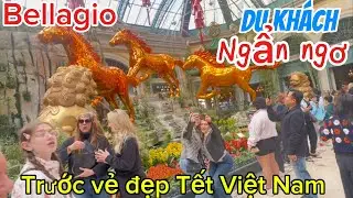 Las Vegas- Nên Đi Đâu ở Đâu Vào Dịp Tết Việt Nam || Strip Silverton, Bellagio to Caesars Palaces