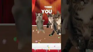 Cat Motivational Speech to Start your Day
