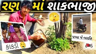 ખારાપાટમાં શાકભાજી ઊગી 🫣 #dailyvlog #vlog #gujarativlog 