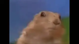 Dramatic Chipmunk