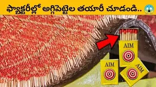 ఫ్యాక్టరీలో అగ్గిపెట్టెలను ఎలా తయారుచేస్తారు😲 | Matchbox Manufacturing in Telugu | Matchbox Factory