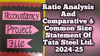 Анализ соотношения и сравнительный и общий отчет о размерах Tata Steel Ltd. 2024-25 Класс 12