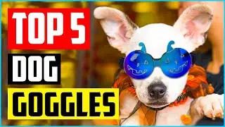Top 5 Best Dog Goggles And Dog Sunglasses Reviews In 2022
